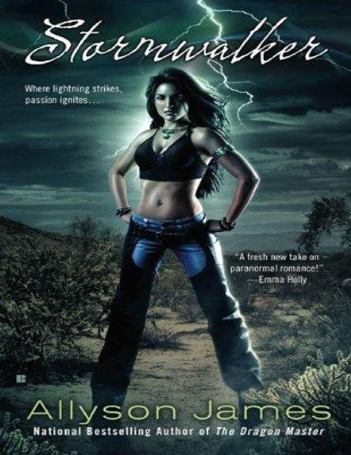 Stormwalker Allyson James James Allyson