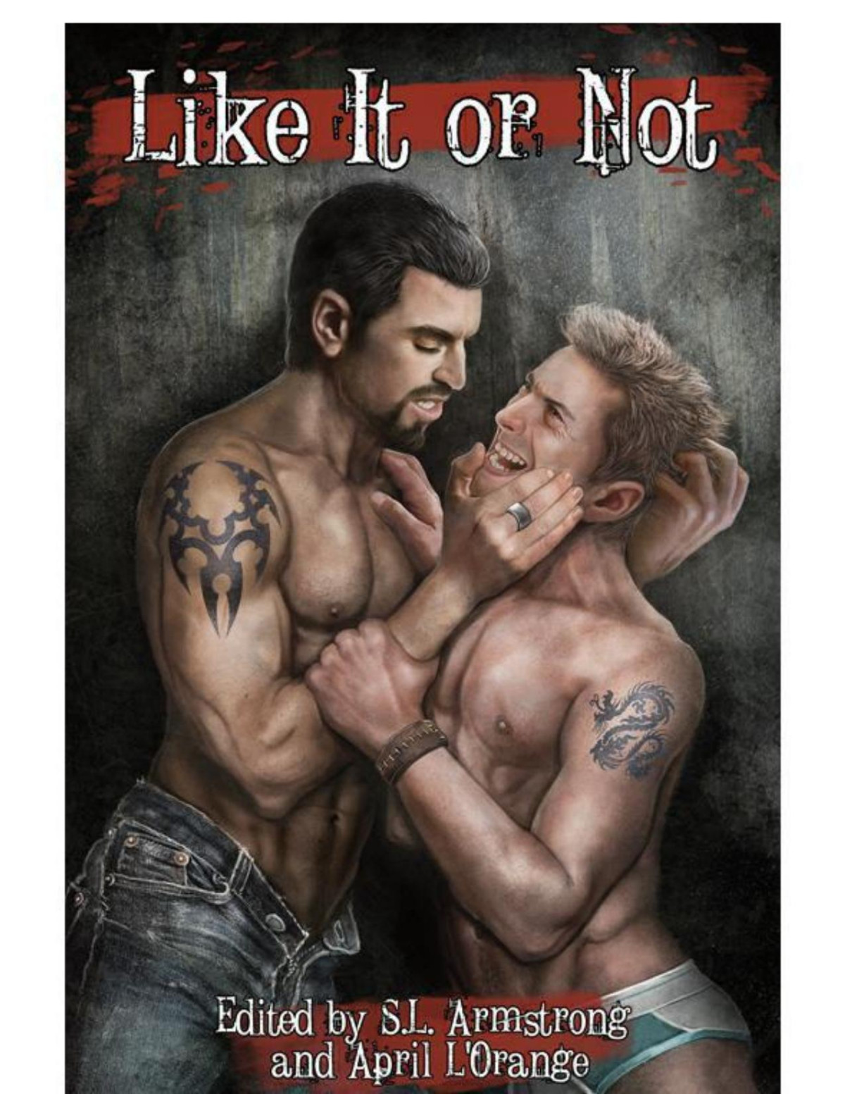 Like It Or Not A Storm Moon Press Anthology
