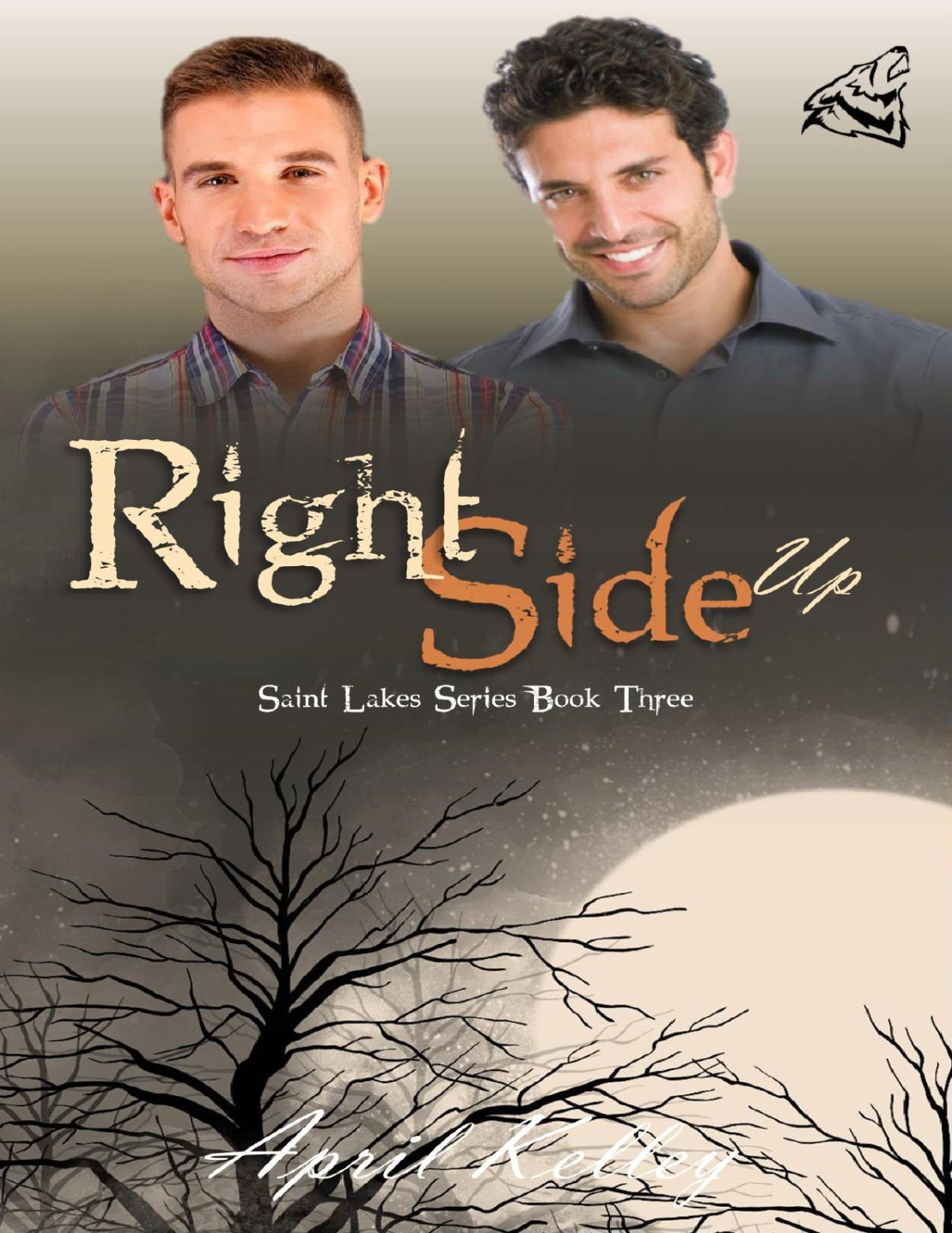 Right Side Up Saint Lakes 3 An Mm Wolf Shifter Romance Kelley