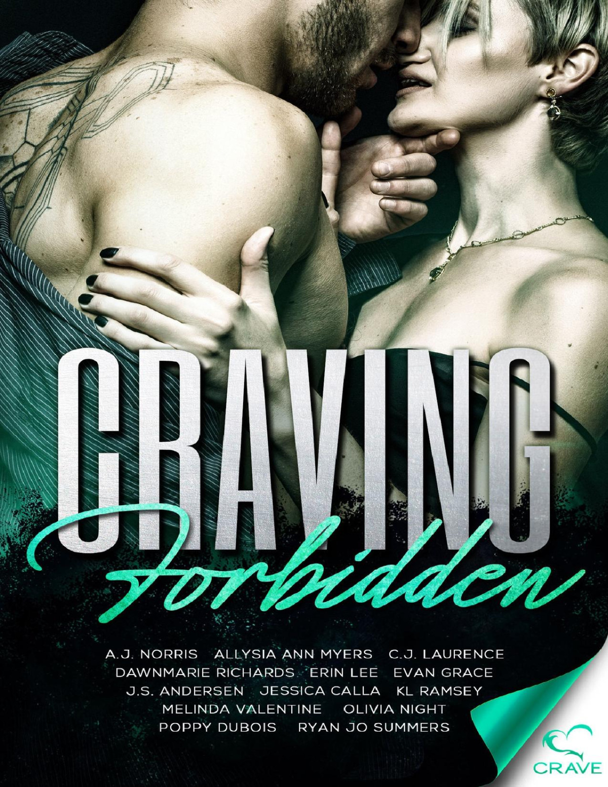 Craving Forbidden Craving Series Book 9 Jo Summers Ryan Dubois