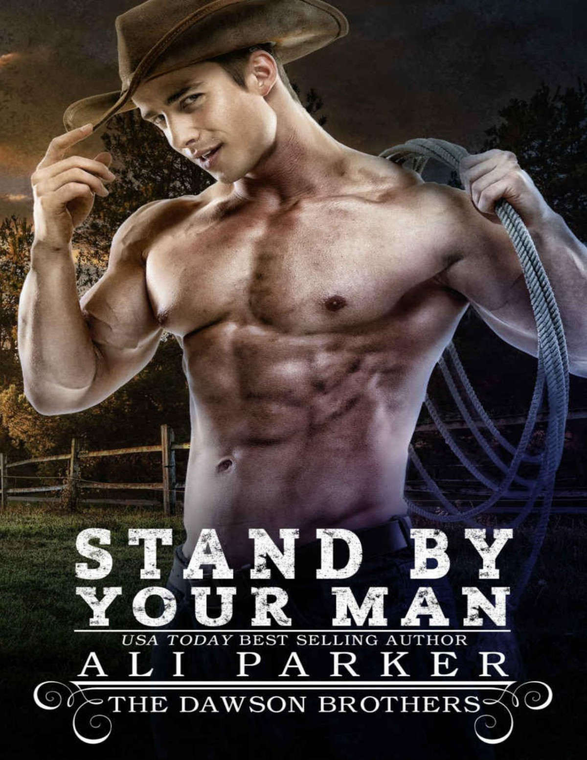 Stand By Your Man The Dawson Brothers 5 Parker Ali