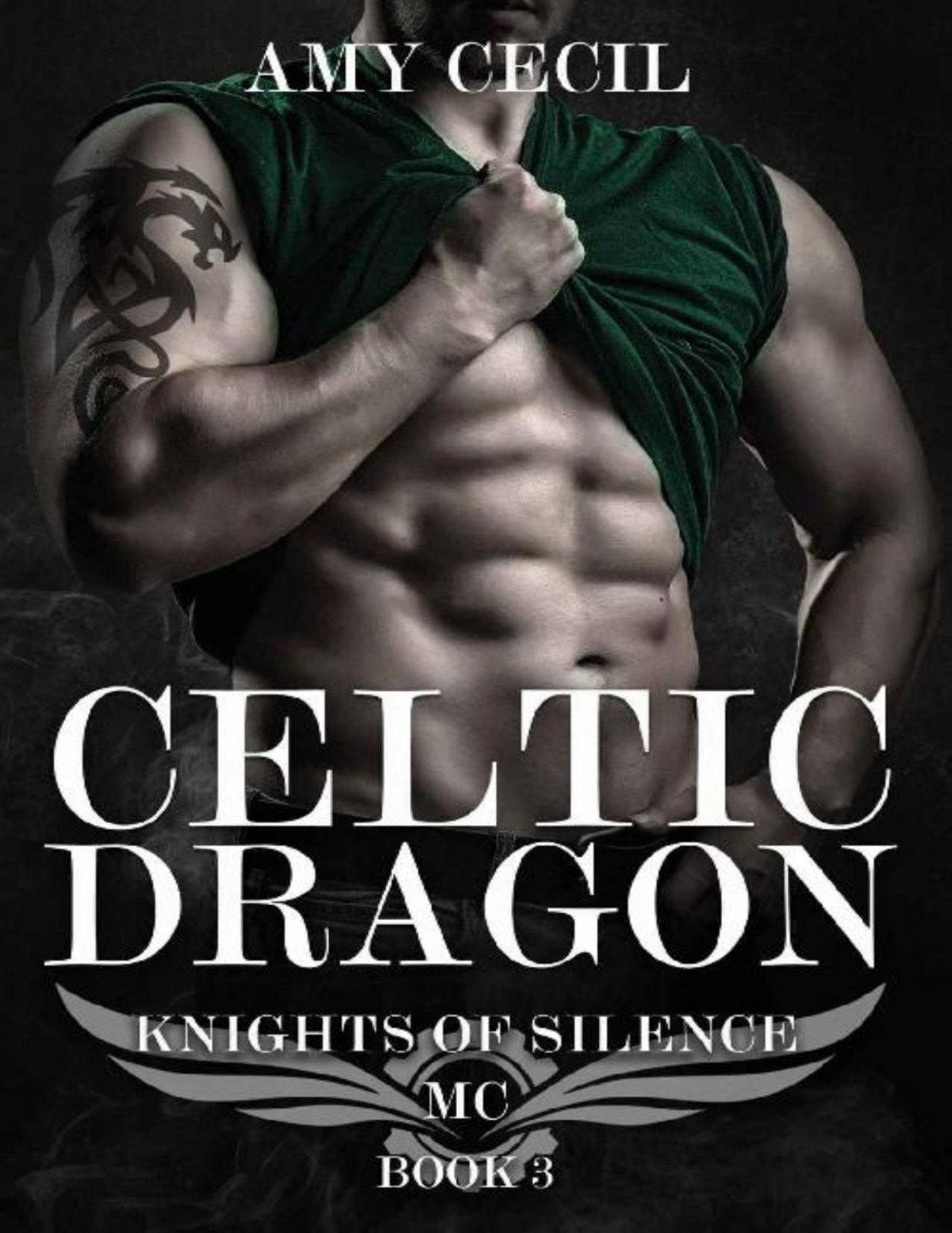 Celtic Dragon Knights Of Silence Mc Book 3 Amy Cecil Cecil