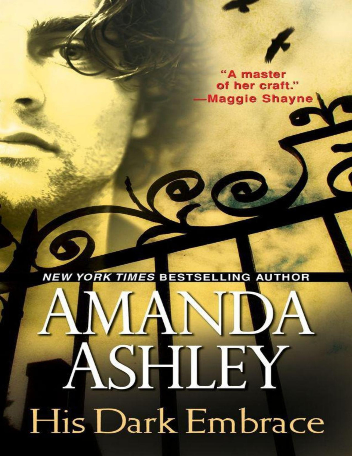 His Dark Embrace Amanda Ashley Ashley Amanda