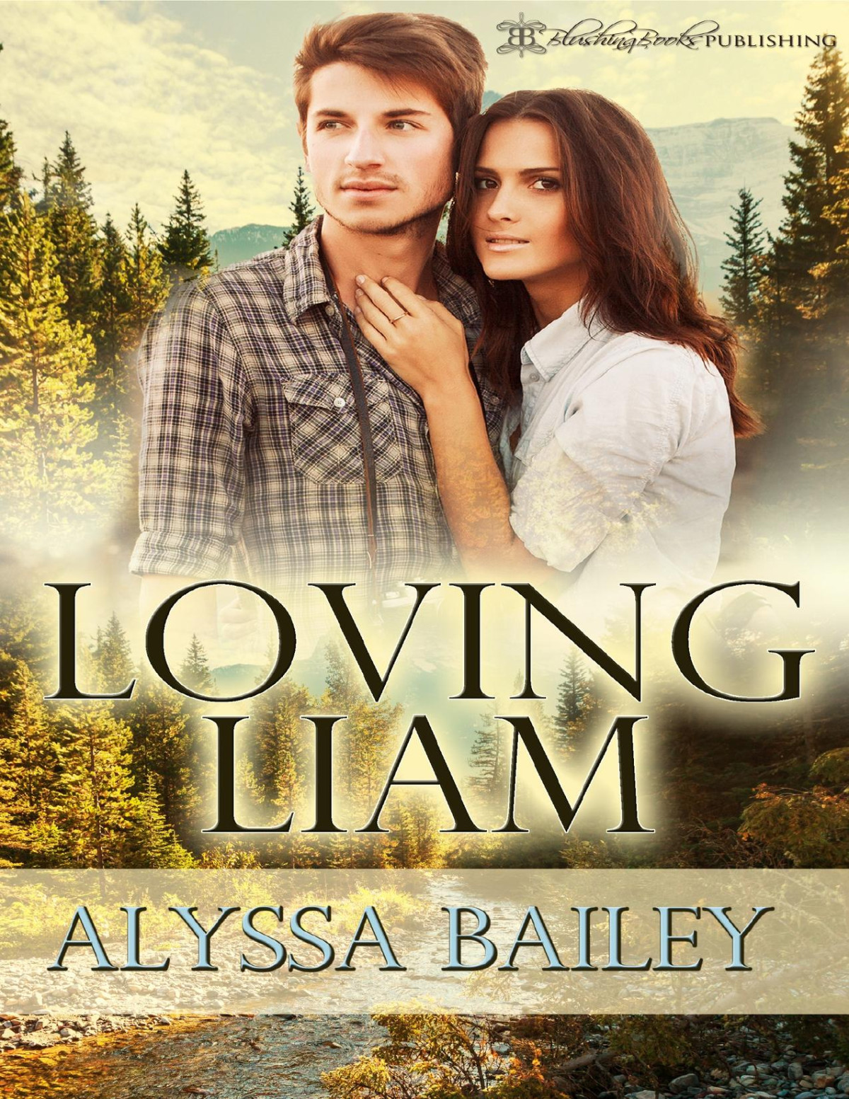 Loving Liam Liam Oconnor Book 3 Bailey Alyssa