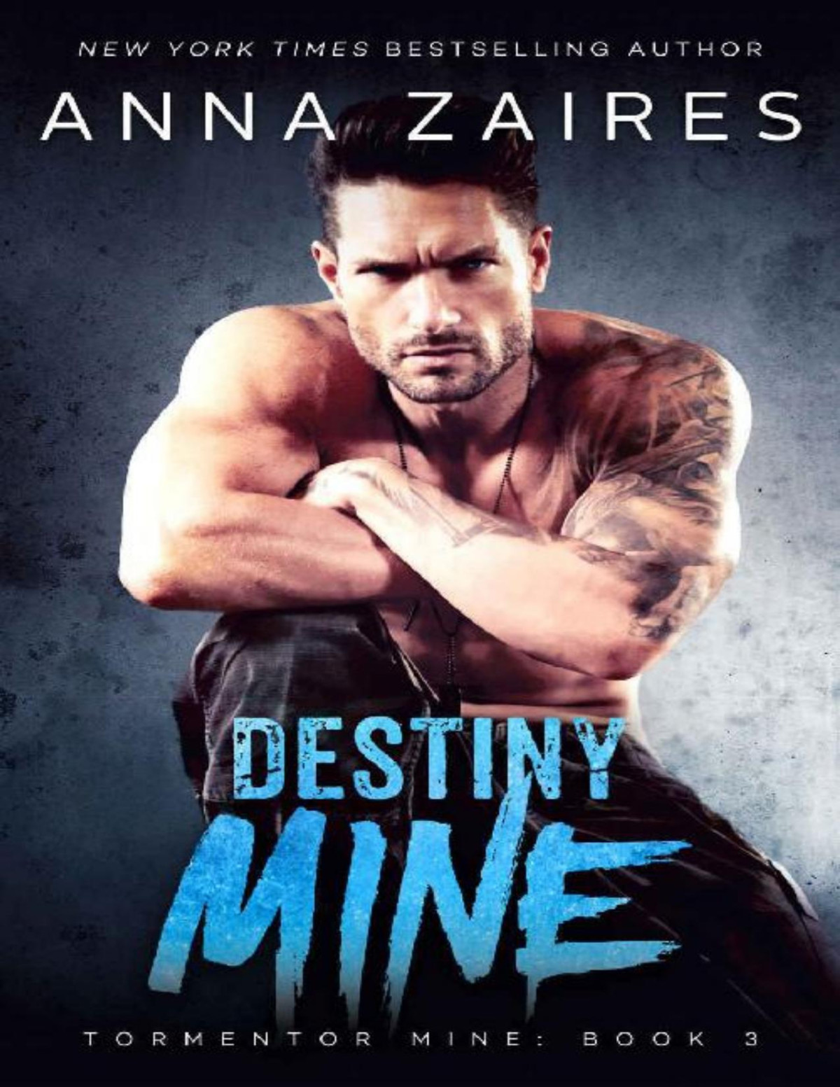 Destiny Mine Tormentor Mine Book 3 Anna Zaires Dima Zales Zaires