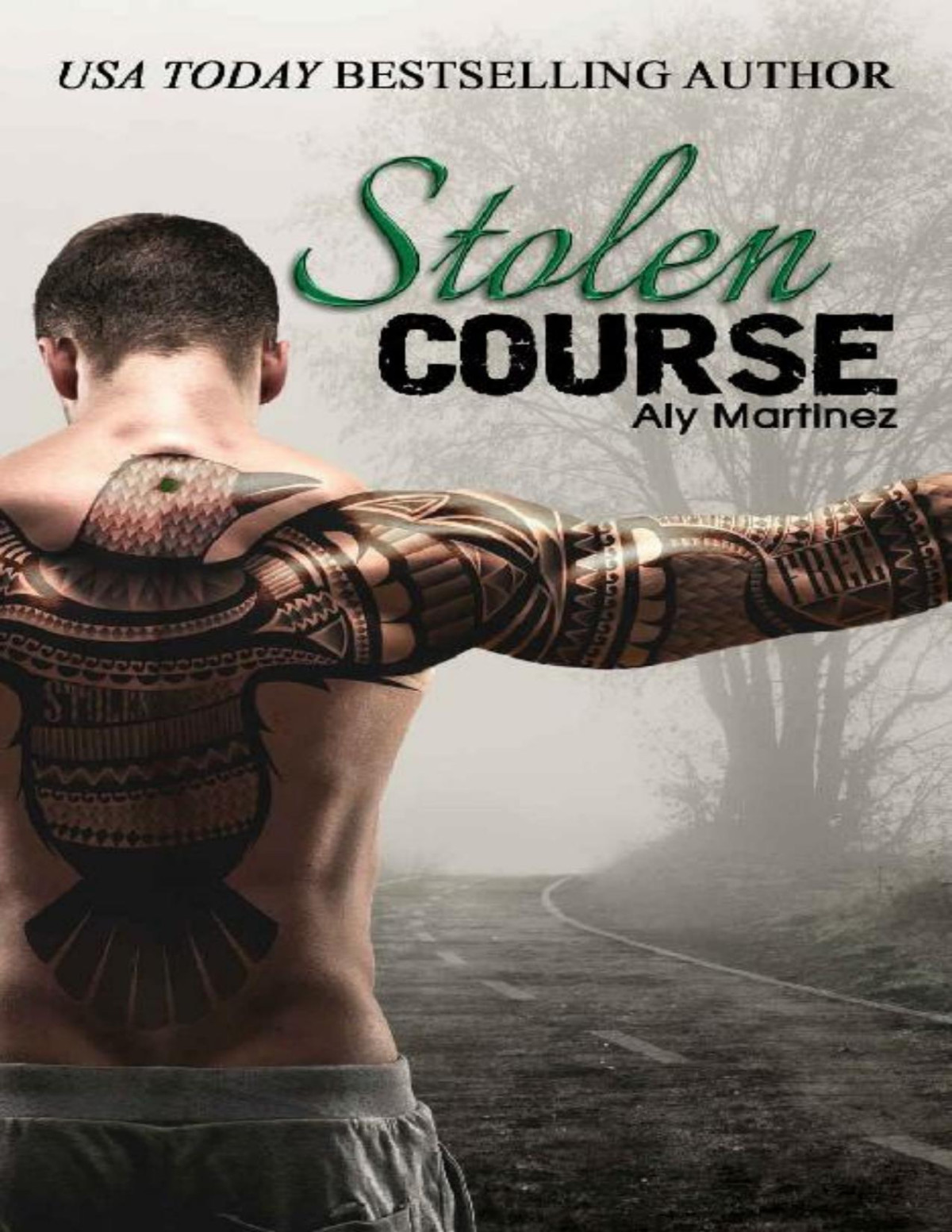 Stolen Course Wrecked And Ruined Book 2 Aly Martinez Martinez