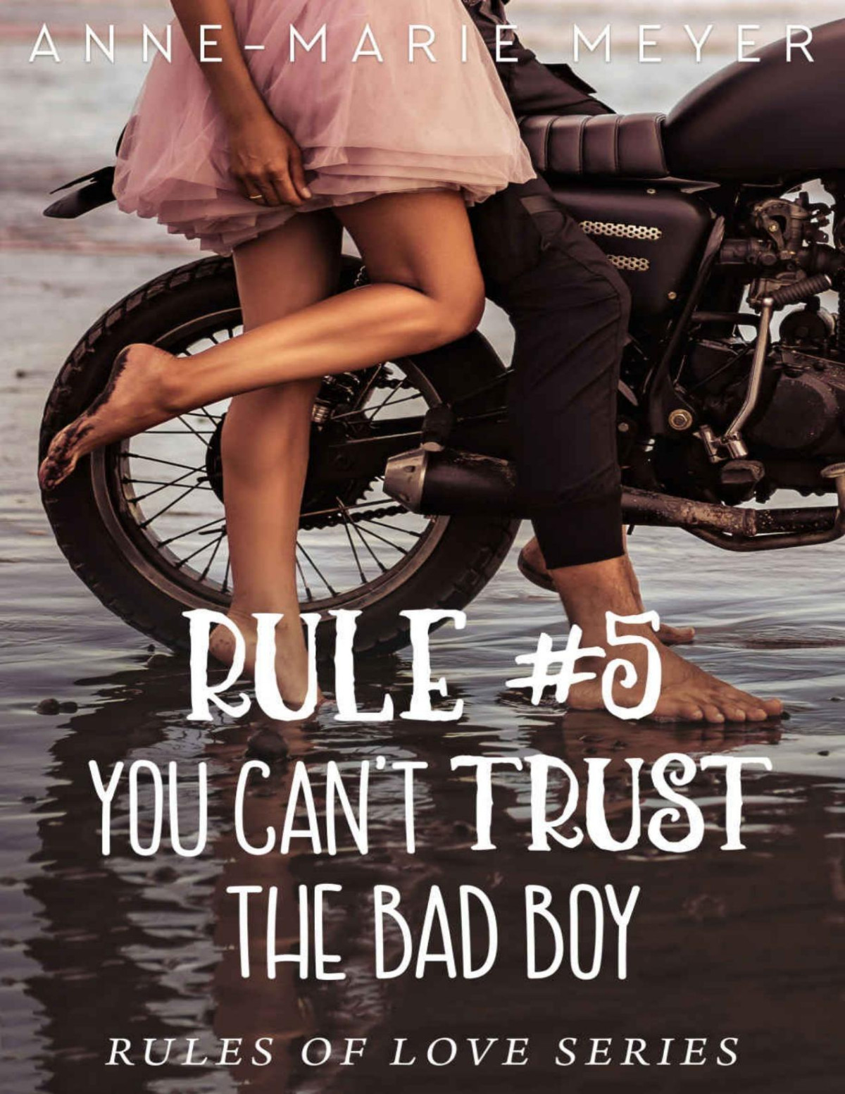 Rule 4 You Cant Trust The Bad Boy Annemarie Meyer