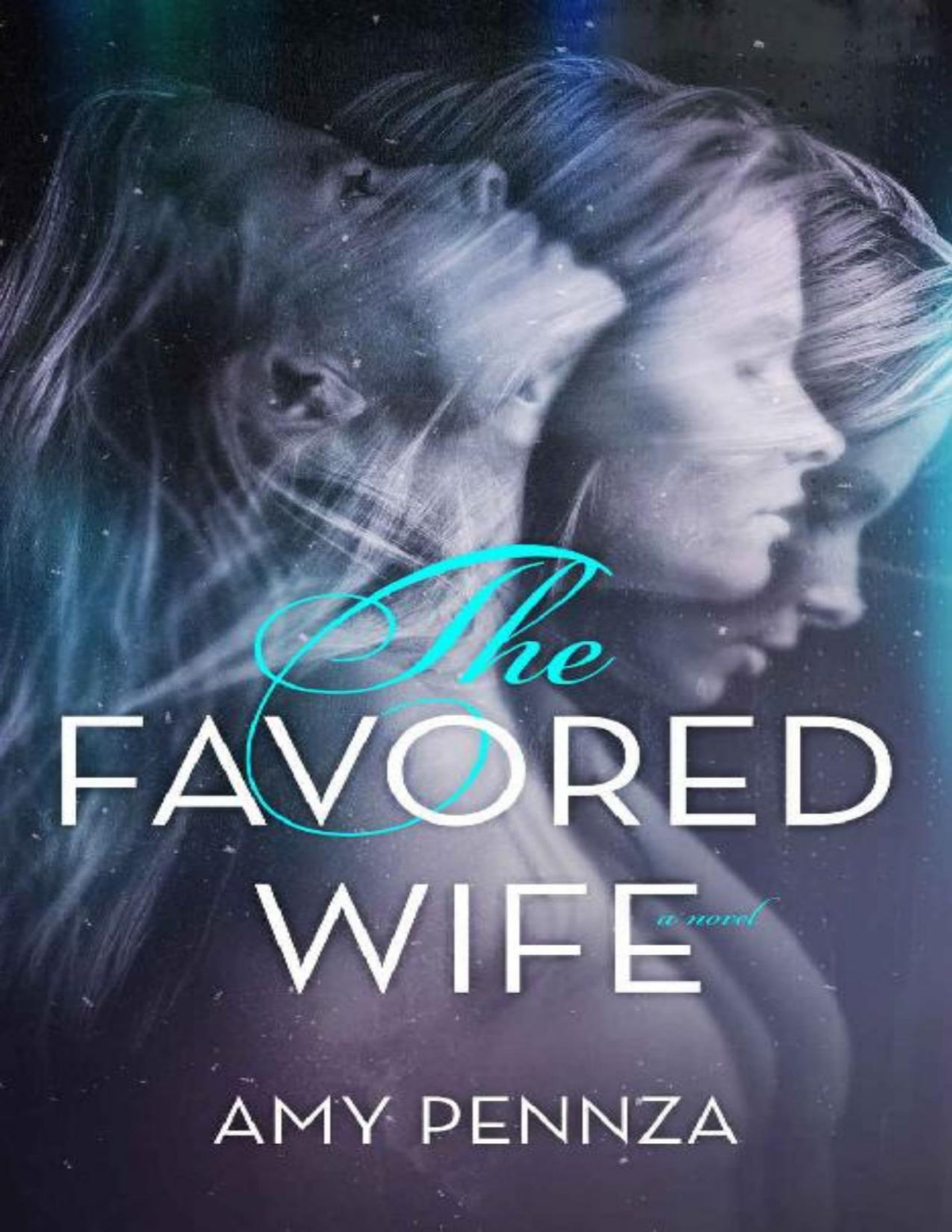 The Favored Wife 1st Edition Amy Pennza Pennza Amy