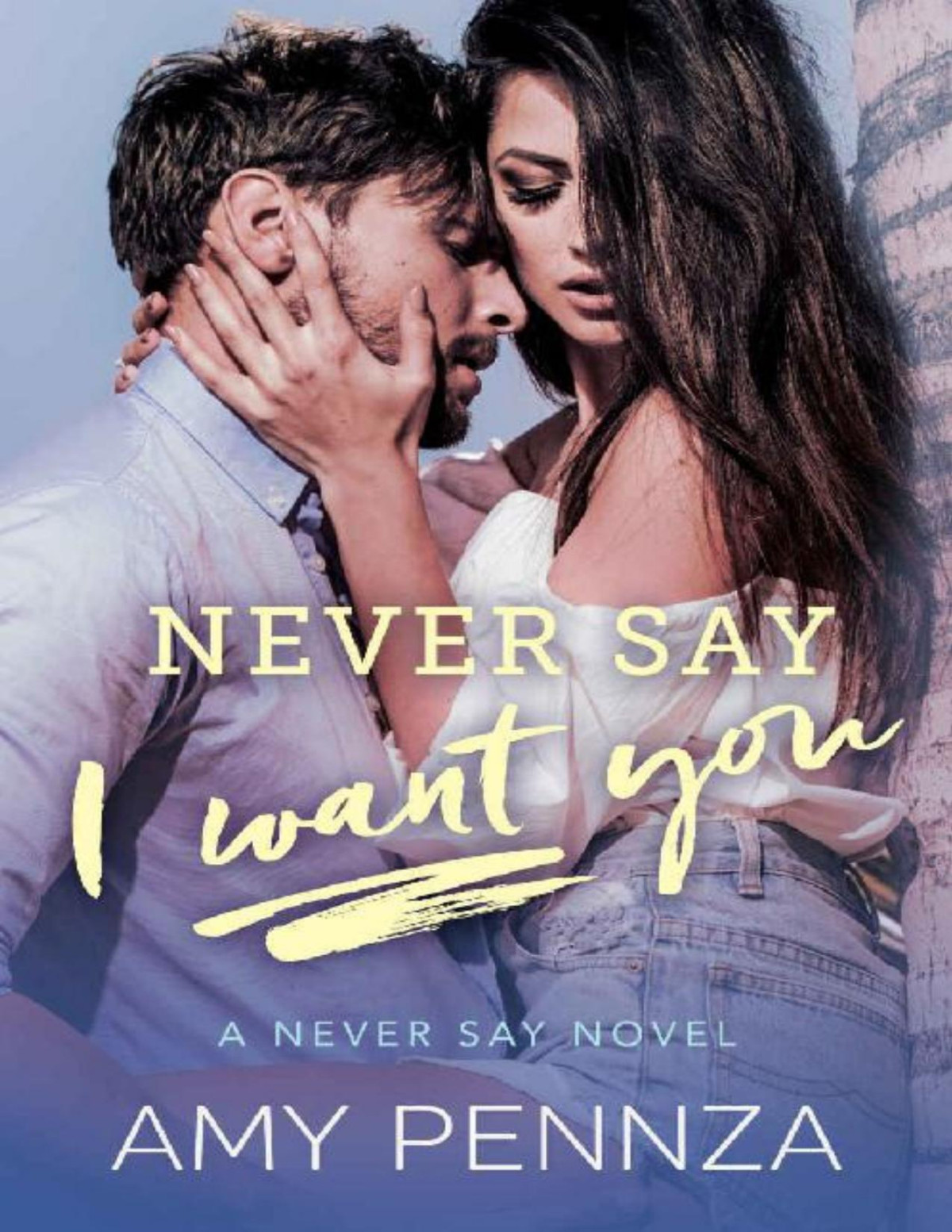 Never Say I Want You 1st Edition Amy Pennza Pennza Amy
