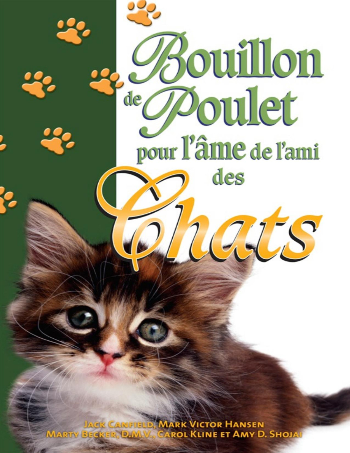 Bouillon De Poulet Pour Lme De Lami Des Chats Collectif Shojai