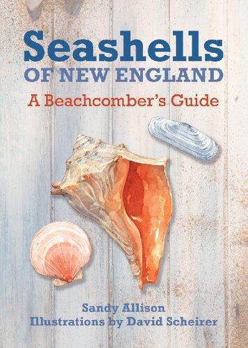 Seashells Of New England A Beachcombers Guide Sandy Allison