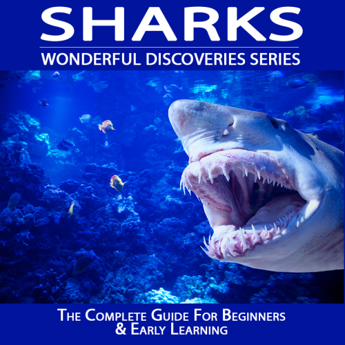 Sharks Press Mary Osborne Wonderful World