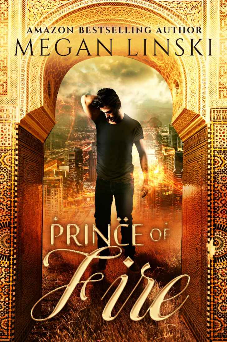 Kingdom Saga 040 Prince Of Fire Megan Linski