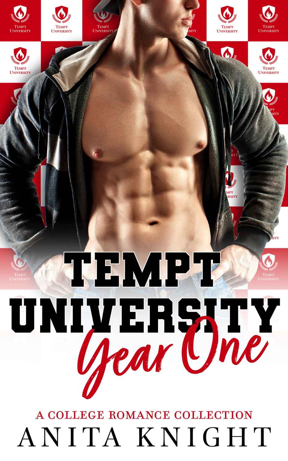 Tempt University Year One A College Romance Collection 1st Edition Anita Knight
