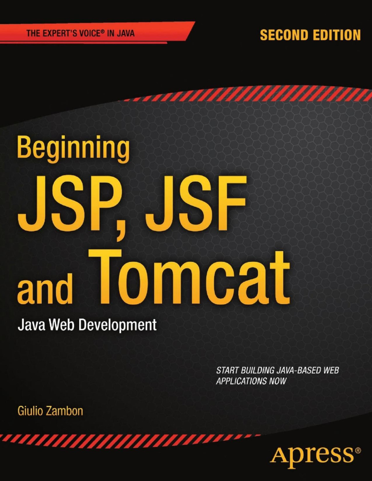 Beginning Jsp Jsf And Tomcat Java Web Development Giulio Zambon Zambon