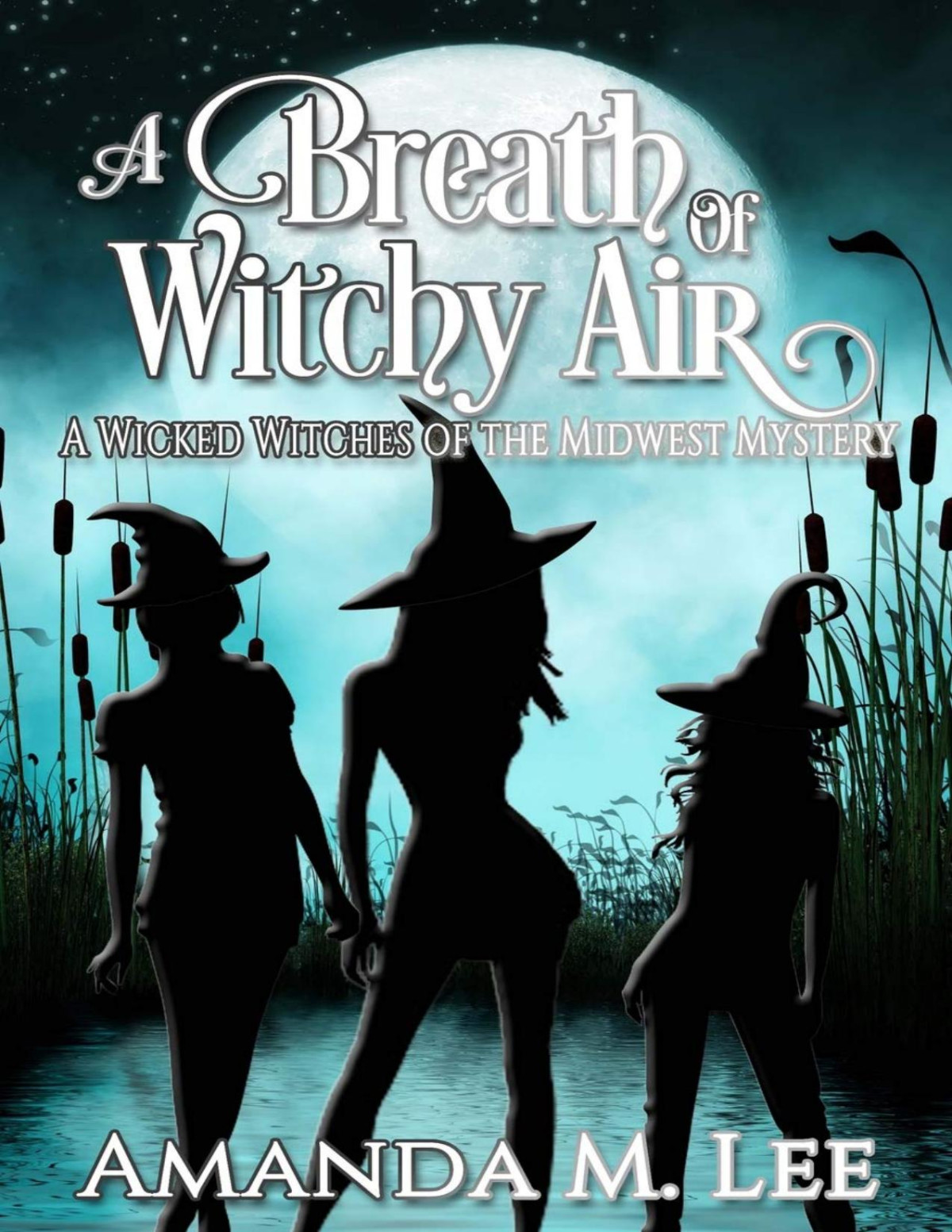 A Breath Of Witchy Air Wicked Witches Of The Midwest Mystery 12 Amanda M Lee