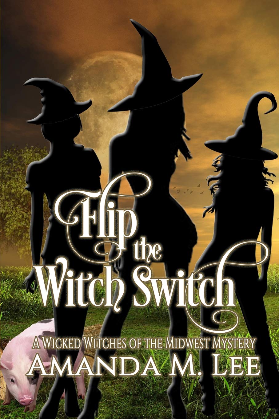 Flip The Witch Switch Wicked Witches Of The Midwest Mystery 14 Amanda M Lee