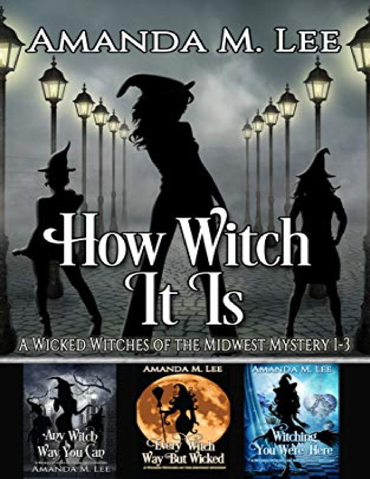How Witch It Is Wicked Witches Of The Midwest Mystery 13 Amanda M Lee