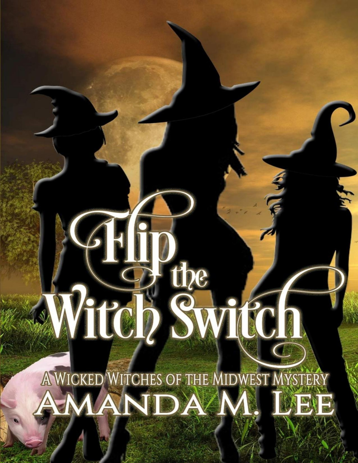 Flip The Witch Switch Wicked Witches Of The Midwest Mystery 14 Amanda M Lee