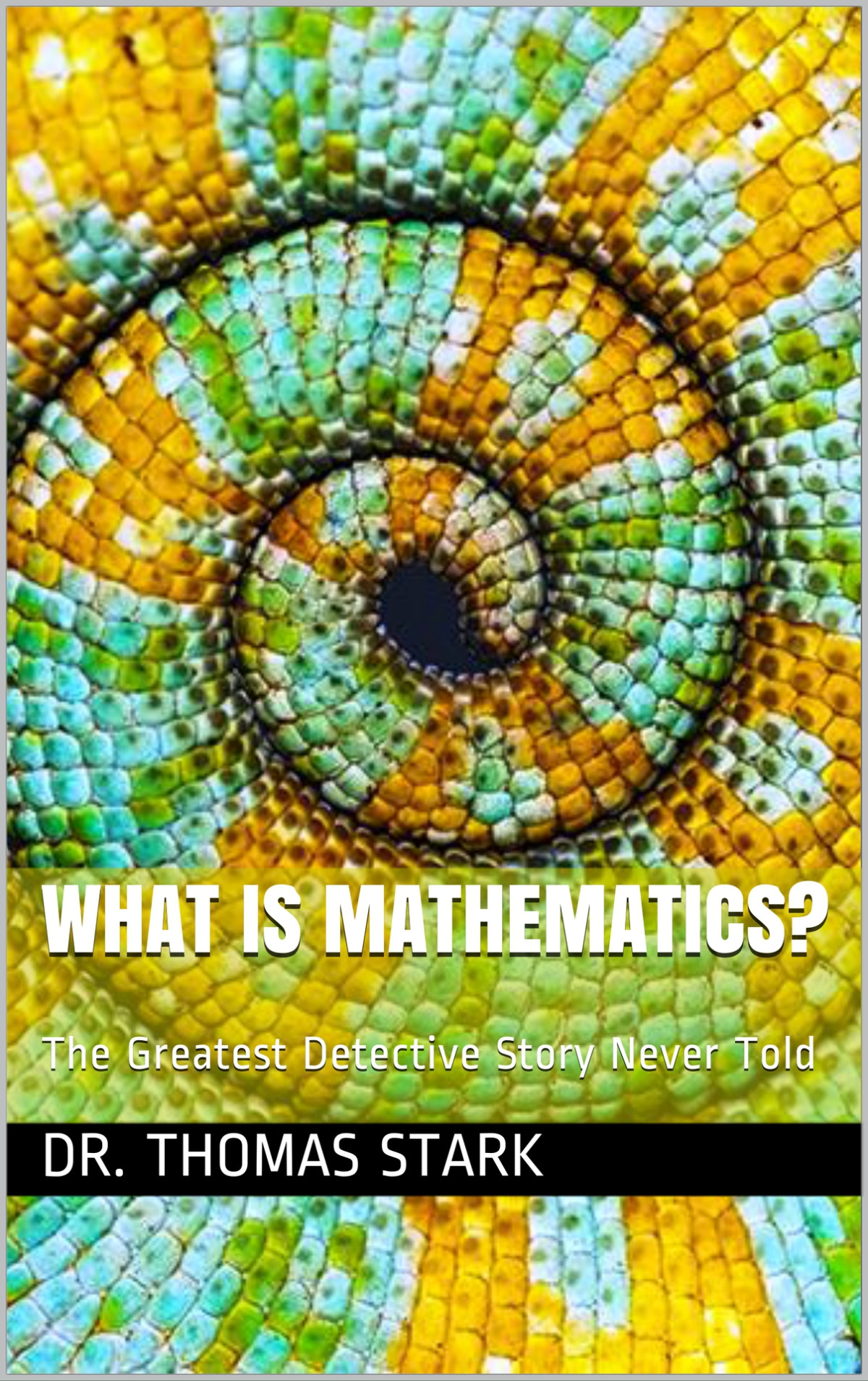 What Is Mathematics The Greatest Detective Story Never Told The Truth Series Book 17 Stark