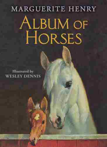 Album Of Horses Henry Marguerite Dennis Wesley Illustrations