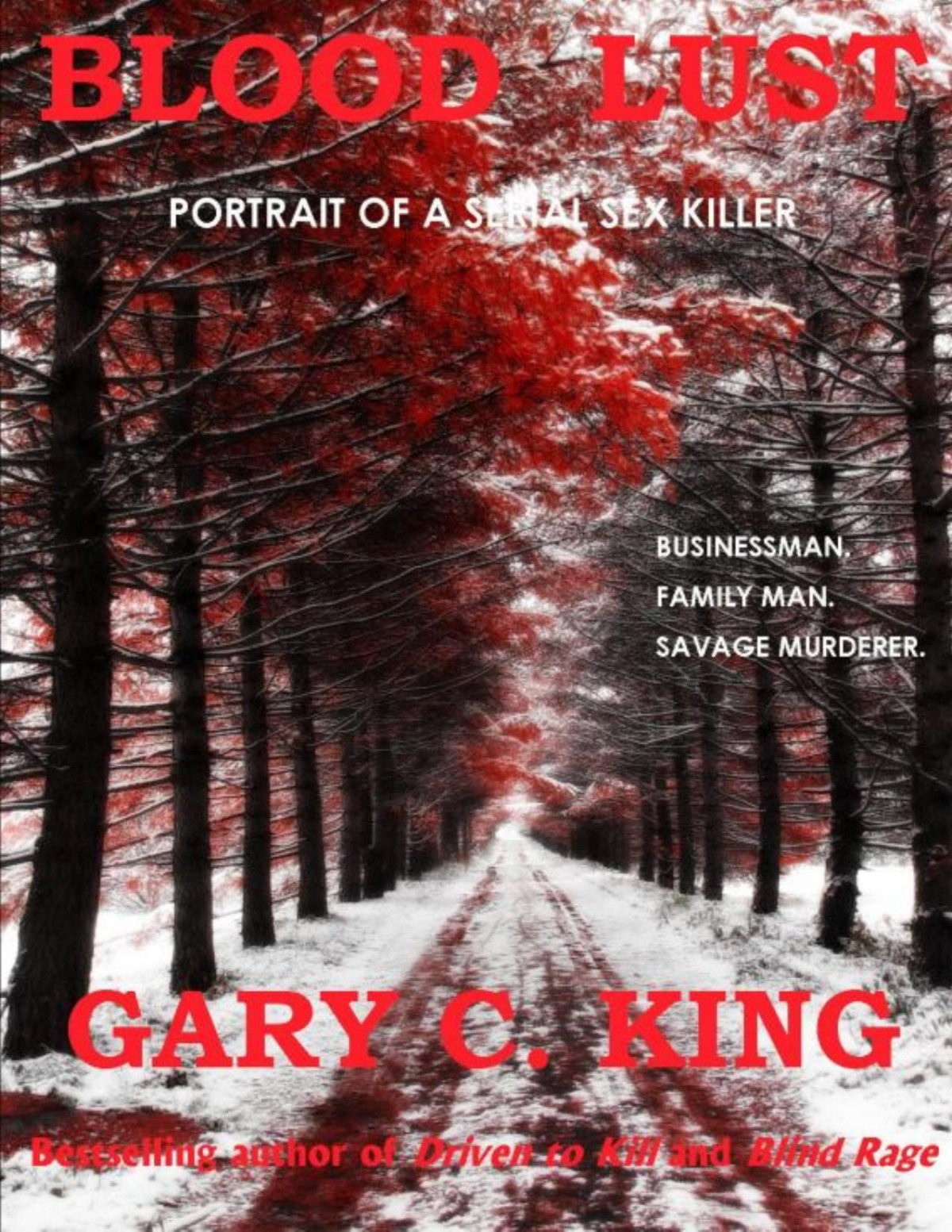 Blood Lust Portrait Of A Serial Sex Killer King Gary C