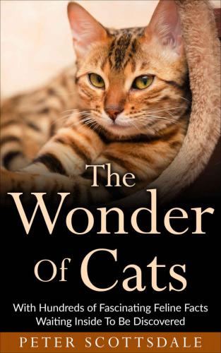 The Wonder Of Cats With Hundreds Of Fascinating Feline Facts Waiting Inside To Be Discovered Scottsdale