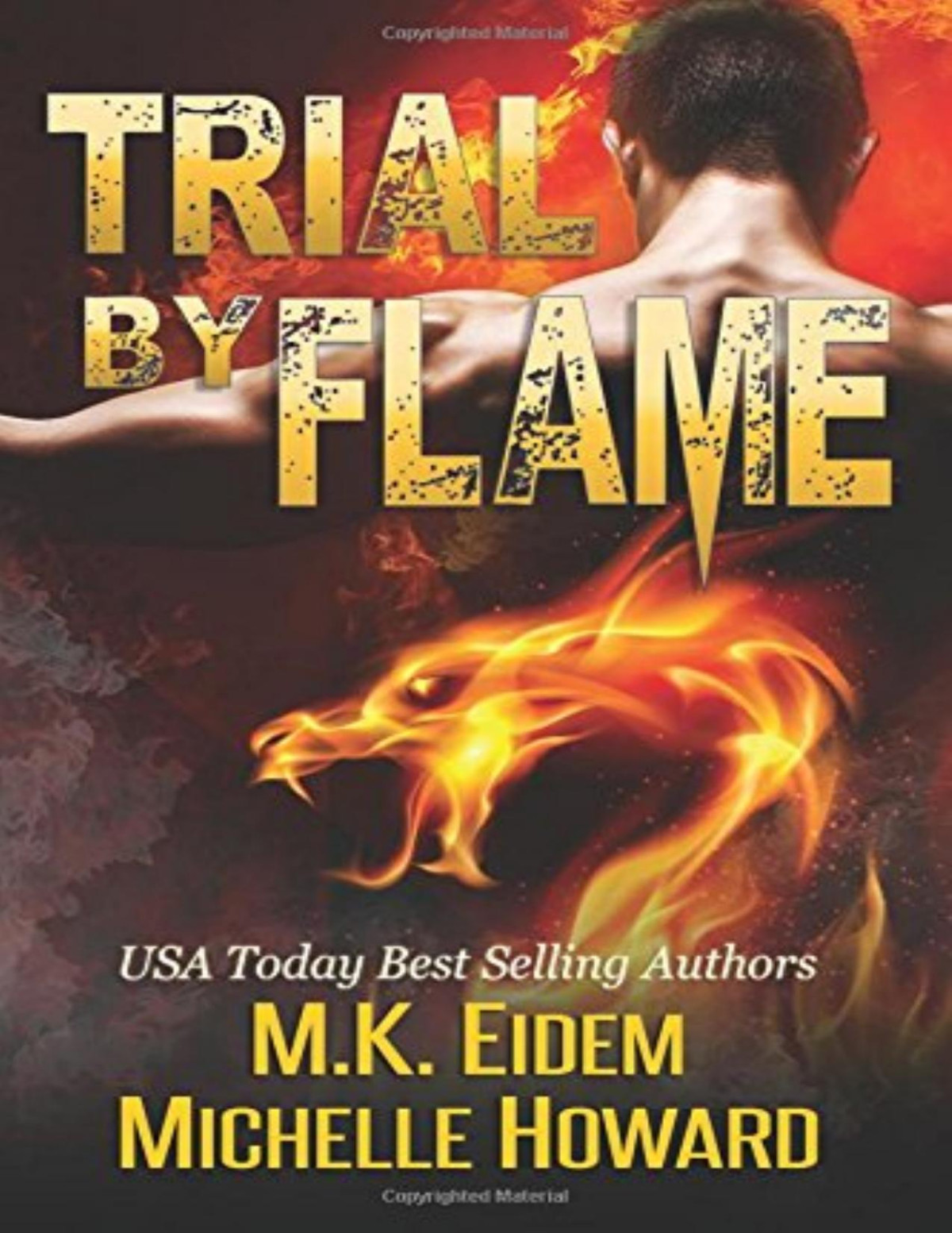 Trial By Flame M K Eidem Michelle Howard Eidem M K Howard