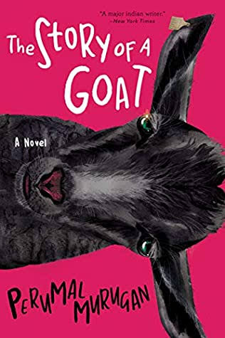 The Story Of A Black Goat Perumal Murugan Nkalyan Raman