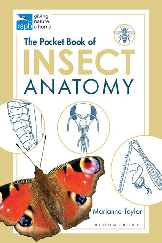 The Pocket Book Of Insect Anatomy Marianne Taylor Steve Parker