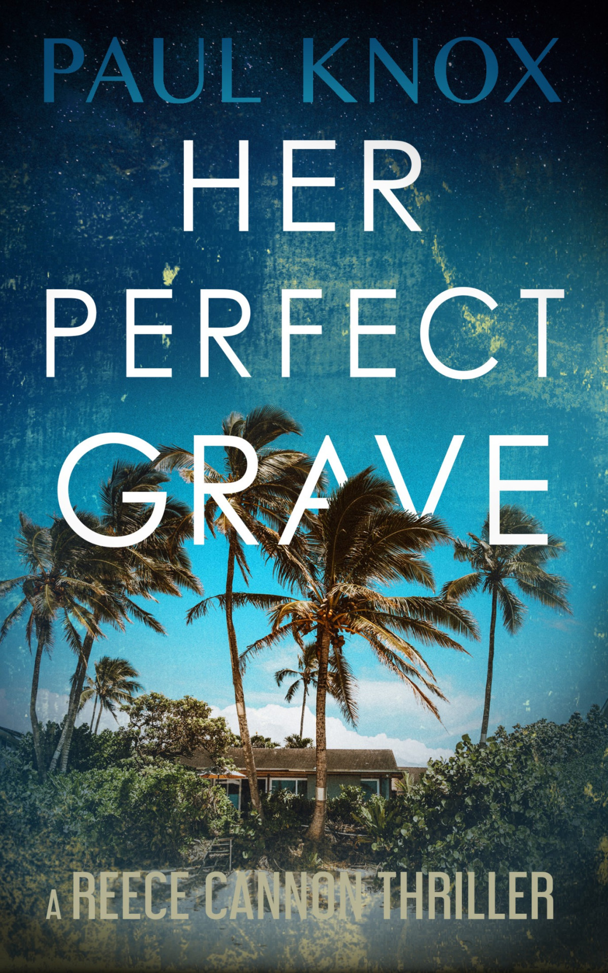 Her Perfect Grave Paul Knox