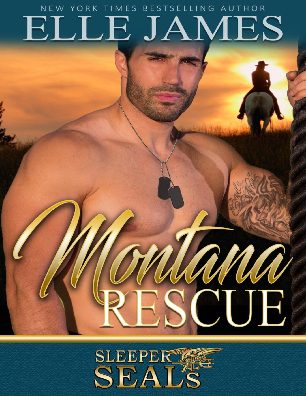 Montana Rescue Sleeper Seals Volume 6 1st Edition Elle James James