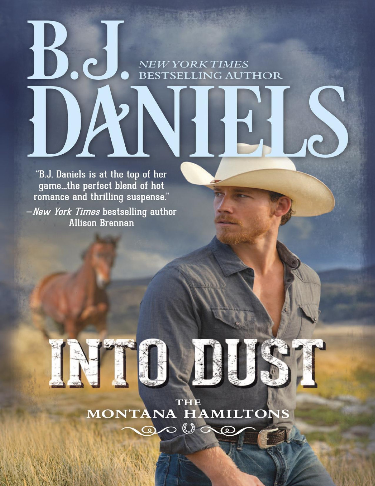 Into Dust Bj Daniels