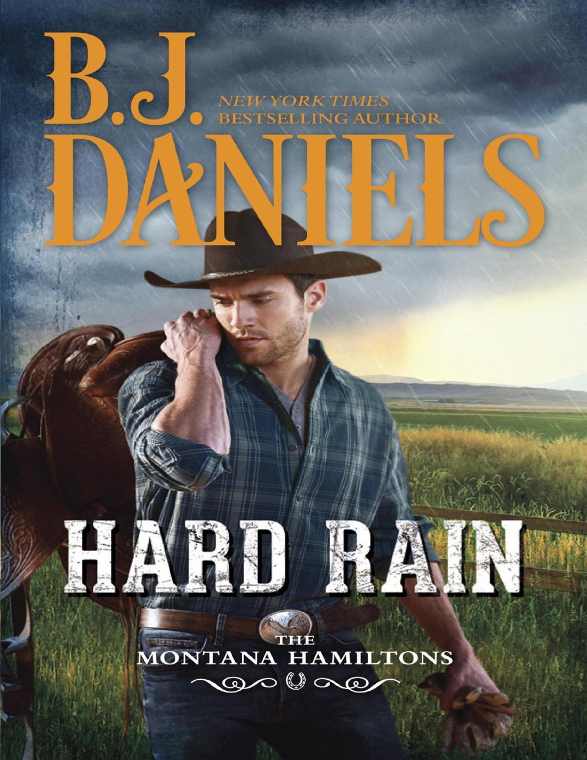Hard Rain B J Daniels Daniels B J