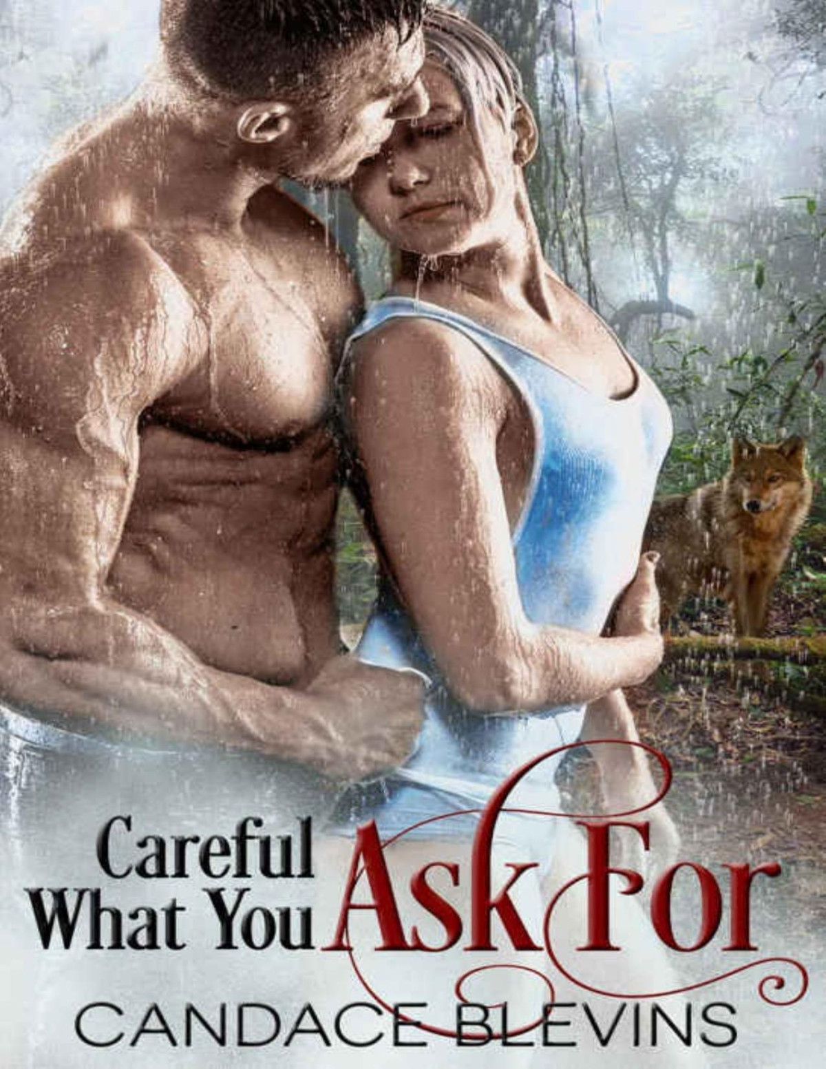 Careful What You Ask For Candace Blevins Blevins Candace