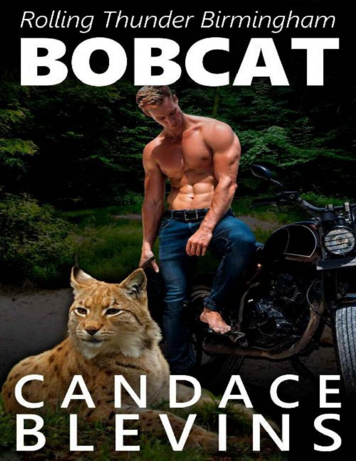 Bobcat Rolling Thunder Mc Birmingham Book 2 Candace Blevins Blevins