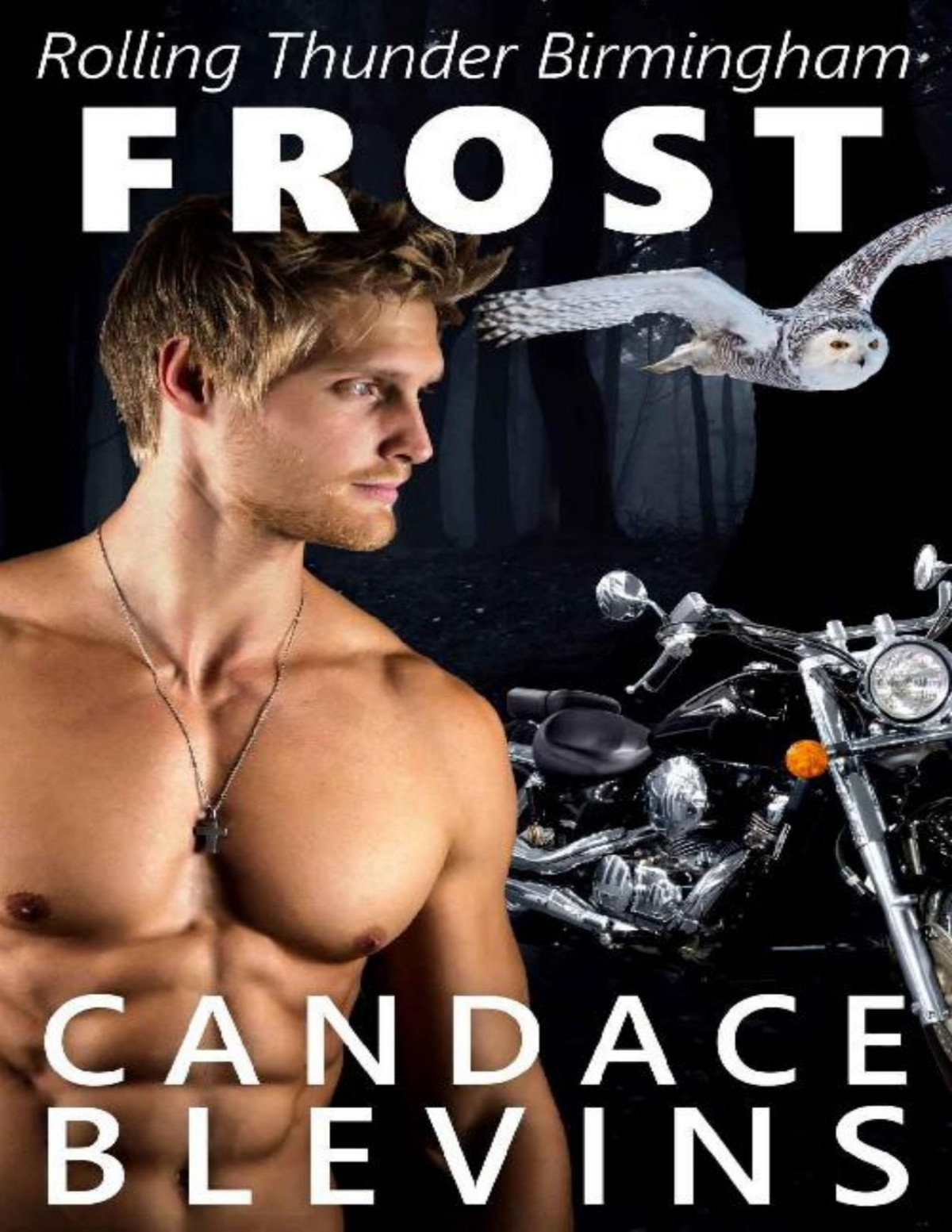 Frost Rolling Thunder Mc Birmingham Book 3 Candace Blevins Blevins