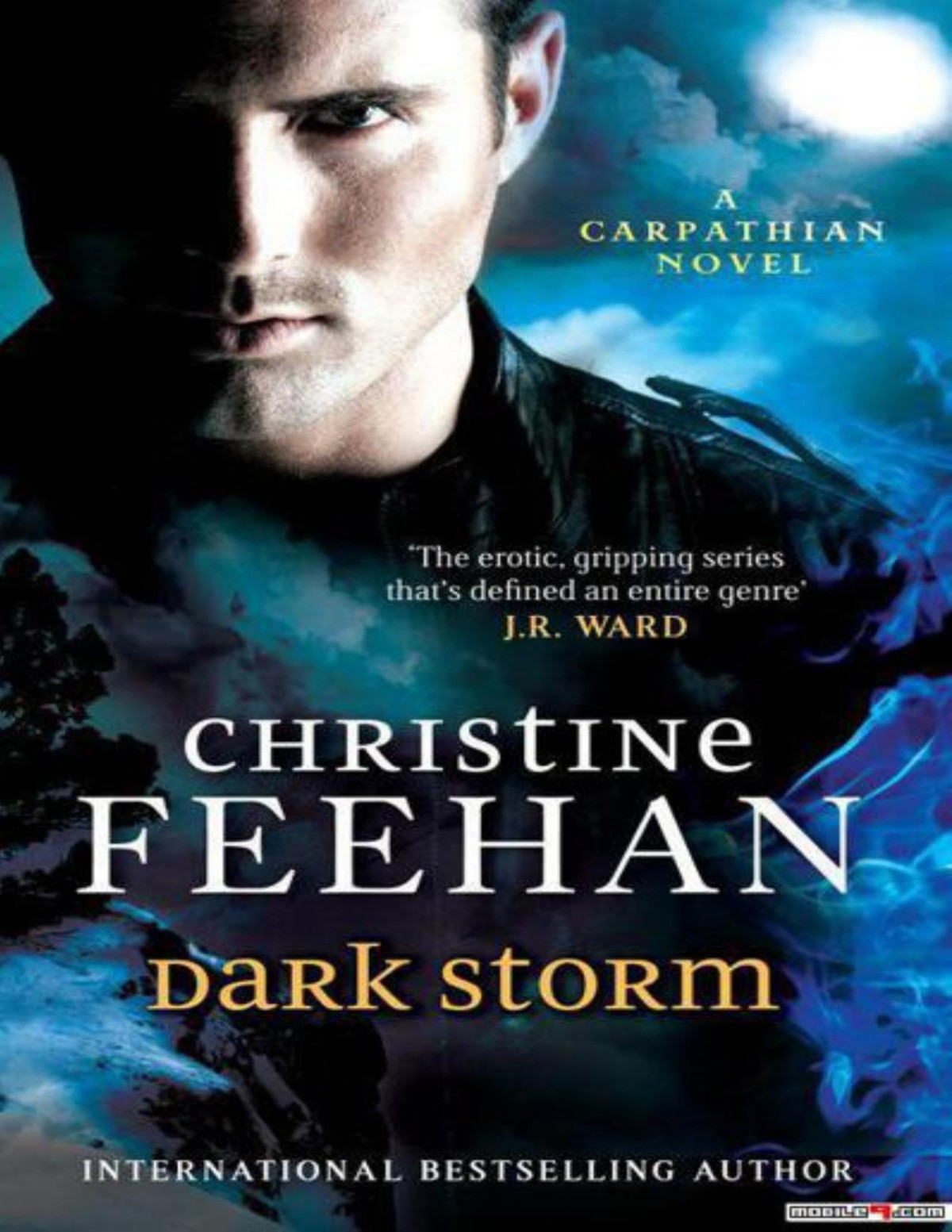 Dark Storm Dark 23 Christine Feehan Feehan Christine