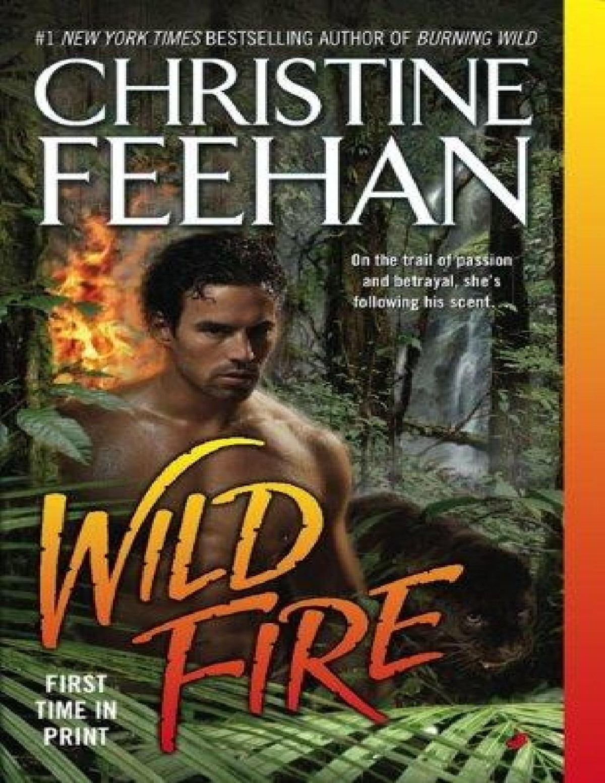 Wild Fire Christine Feehan Feehan Christine