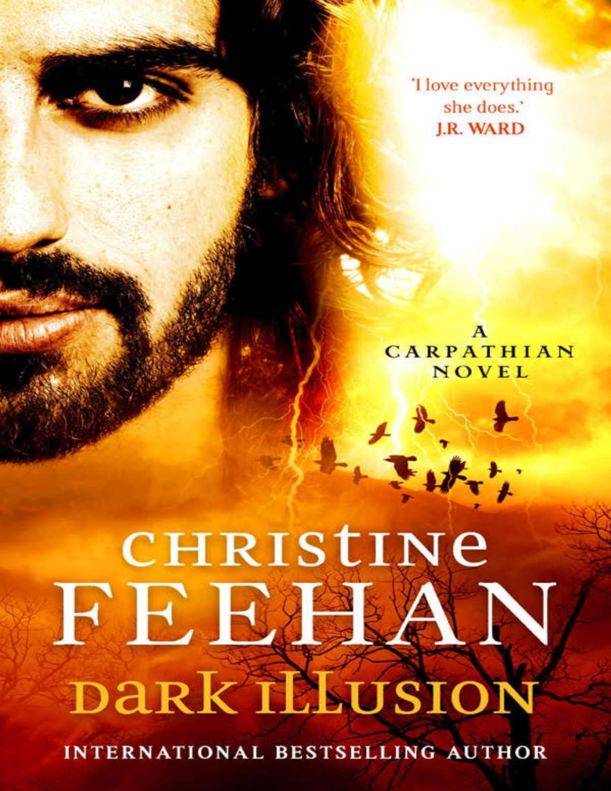 Dark Illusion Feehan Christine