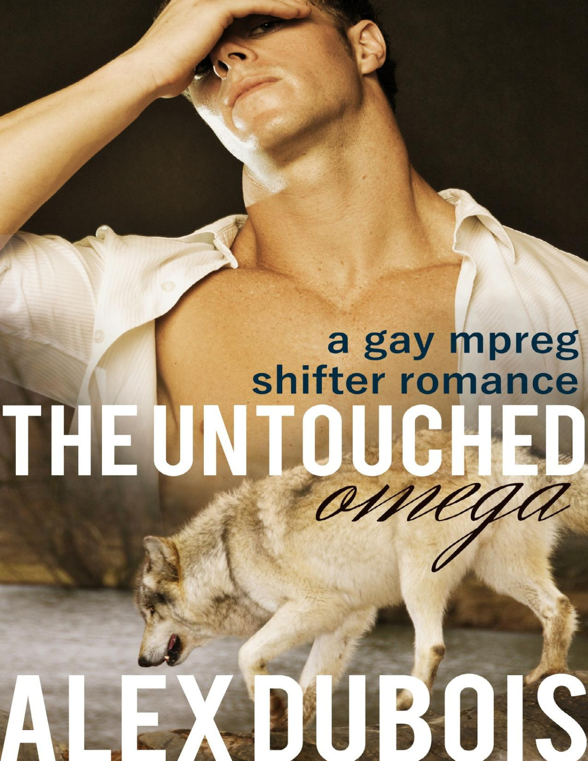 The Untouched Omega A Gay Shifter Mpreg First Time Romance The Shifters Of New York Book 2 Dubois