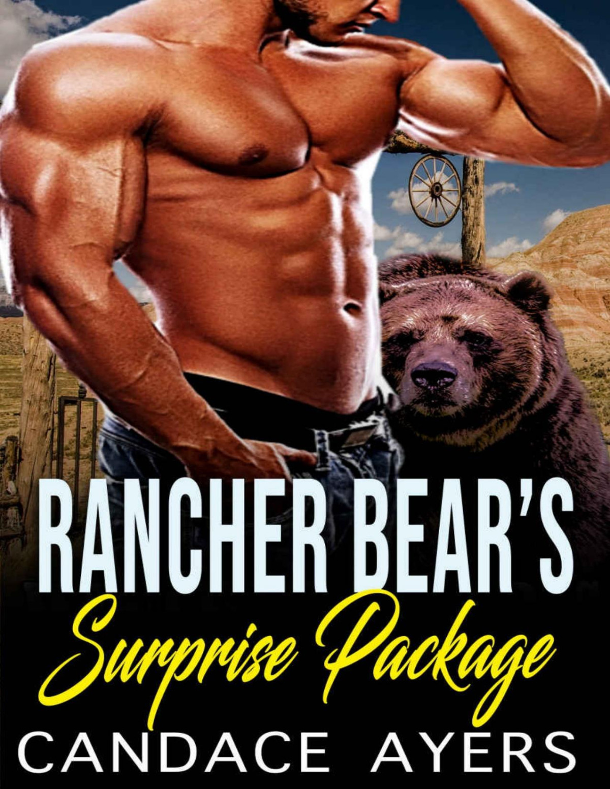 Rancher Bears Surprise Package Shifter Romance Rancher Bears Series Book 3 Candace Ayers Ayers