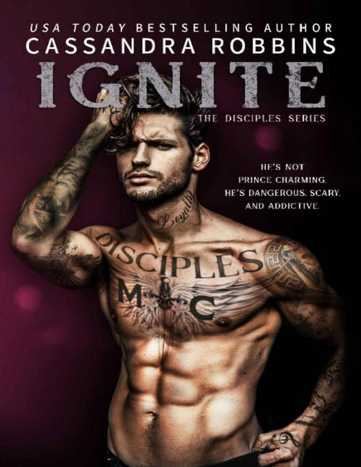 Ignite The Disciples Book 4 Cassandra Robbins Robbins Cassandra