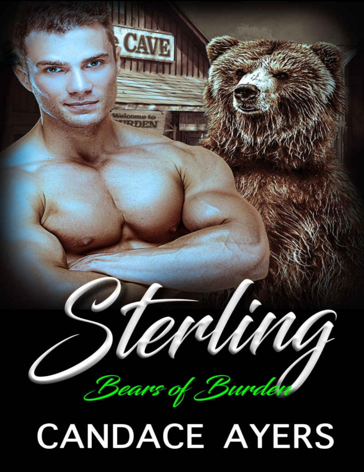 Sterling Bear Shifter Romance Bears Of Burden Book 4 Candace Ayers Ayers
