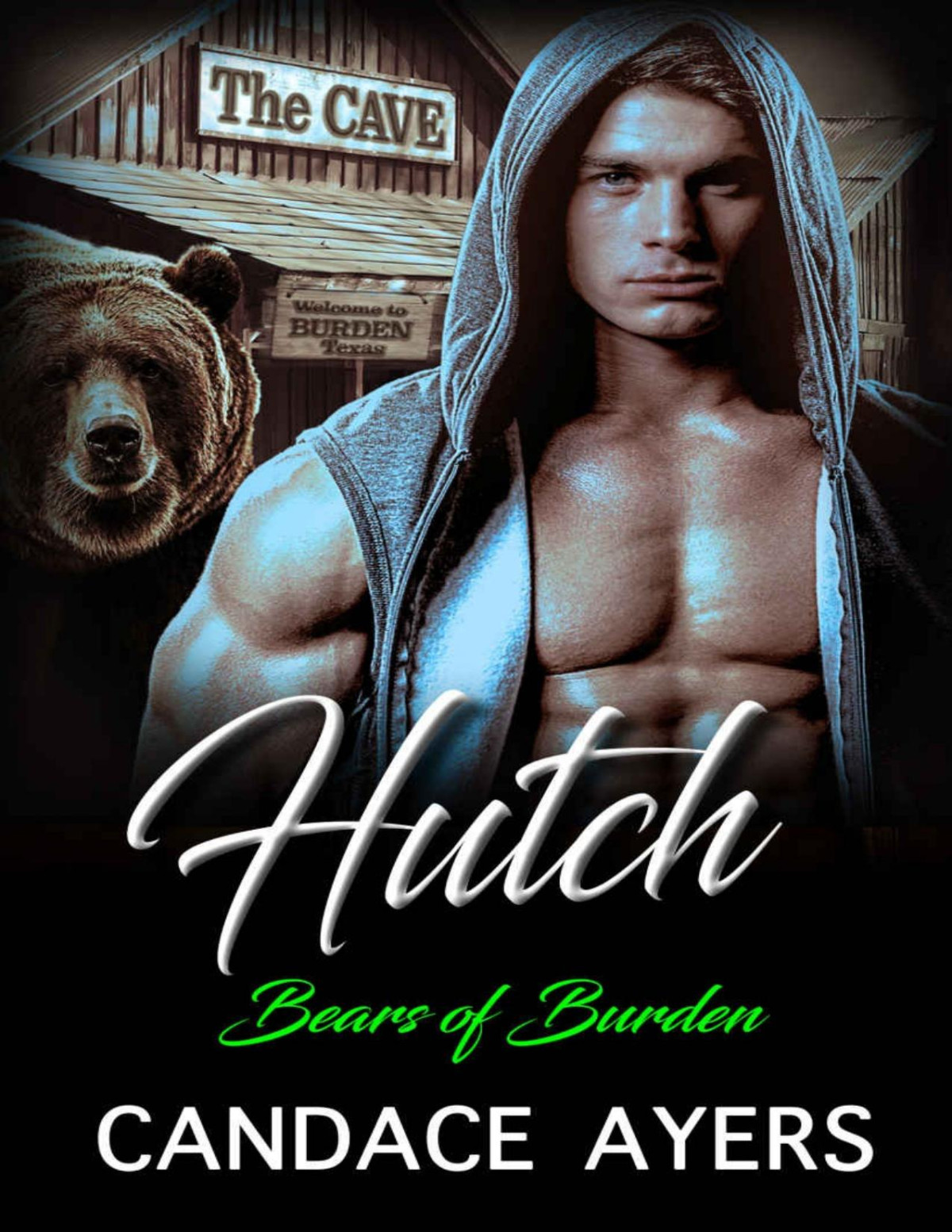 Hutch Bear Shifter Romance Bears Of Burden Book 3 Candace Ayers Ayers