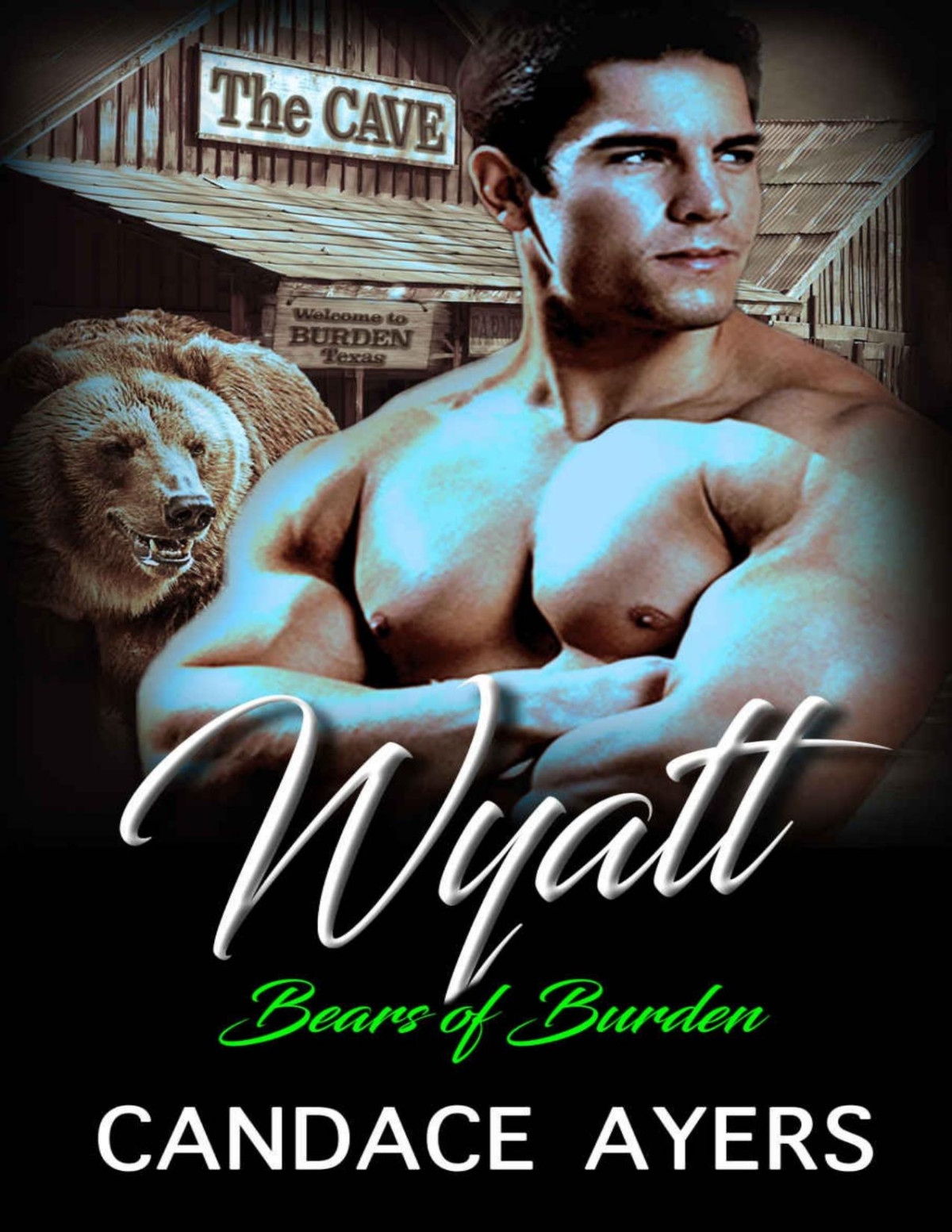 Wyatt Bear Shifter Romance Bears Of Burden Book 2 Candace Ayers Ayers