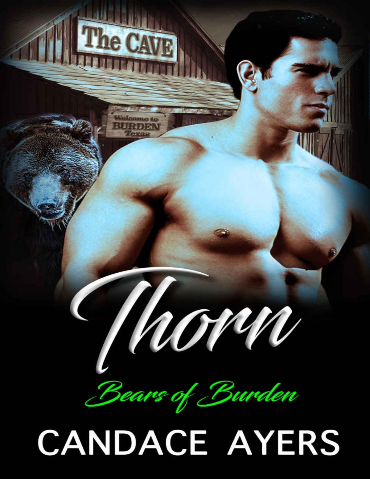 Thorn Bear Shifter Romance Bears Of Burden Book 1 Candace Ayers Ayers