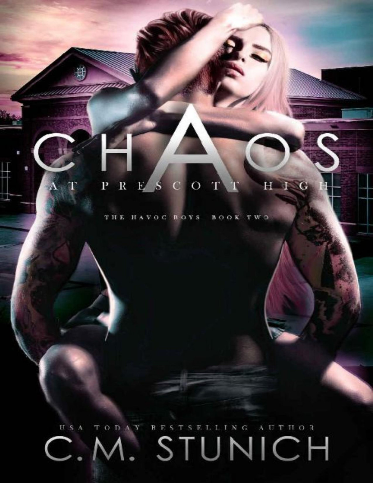 Chaos At Prescott High The Havoc Boys Book 2 Cm Stunich Stunich