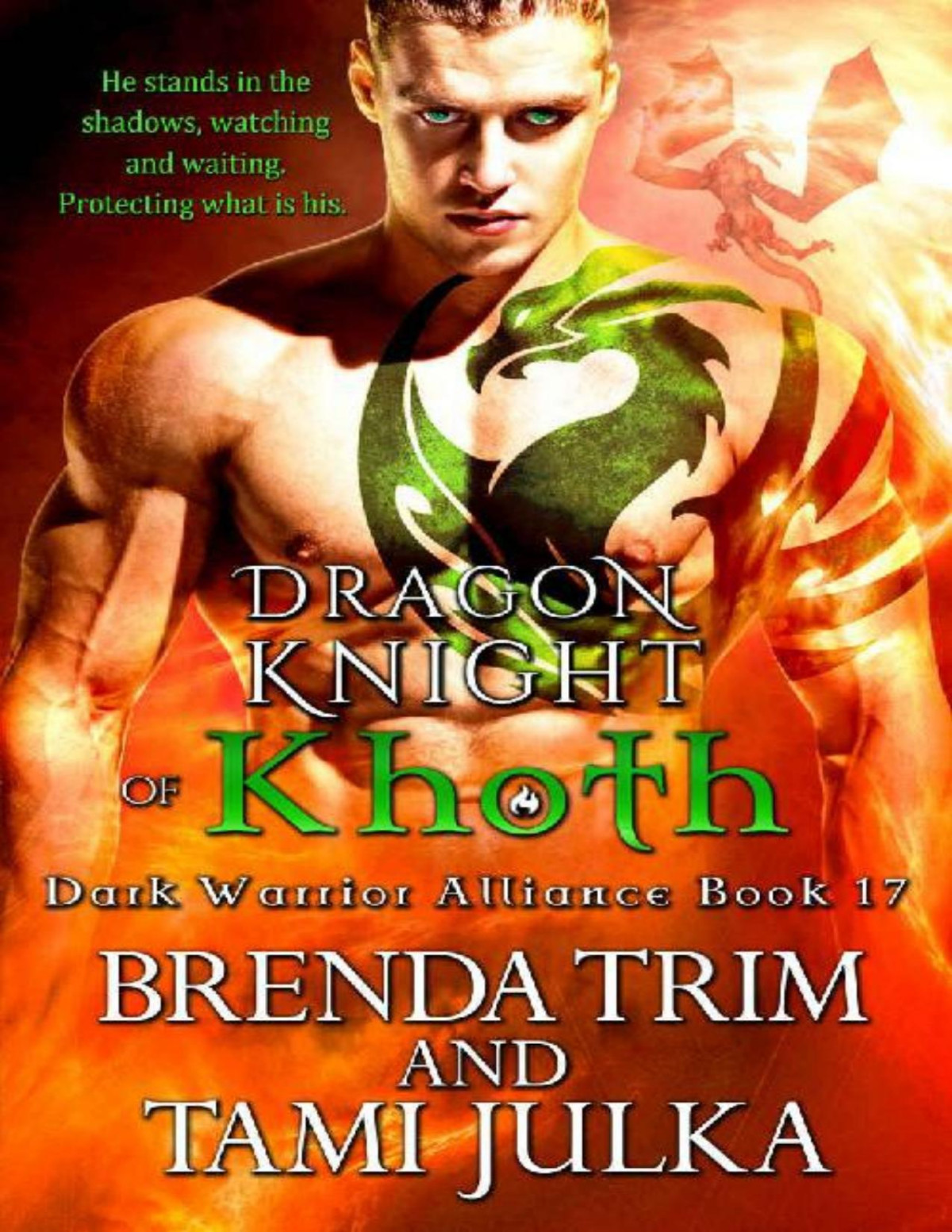 Dragon Knight Of Khoth Dark Warrior Alliance Book 17 Brenda Trim Tami Julka Trim