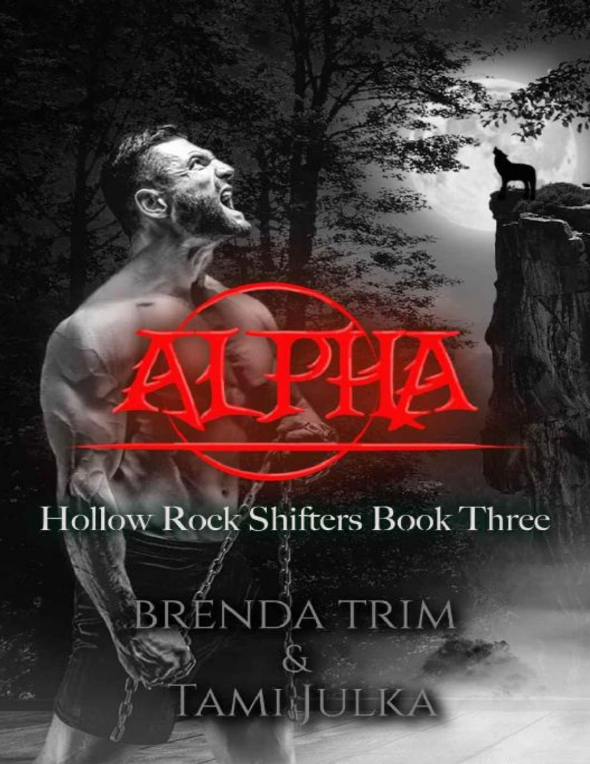 Alpha Hollow Rock Shifters Book 3 Brenda Trim Tami Julka Trim